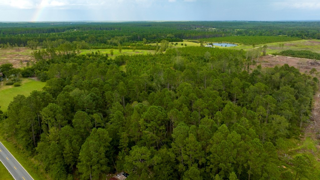 Telfair Pines Photo