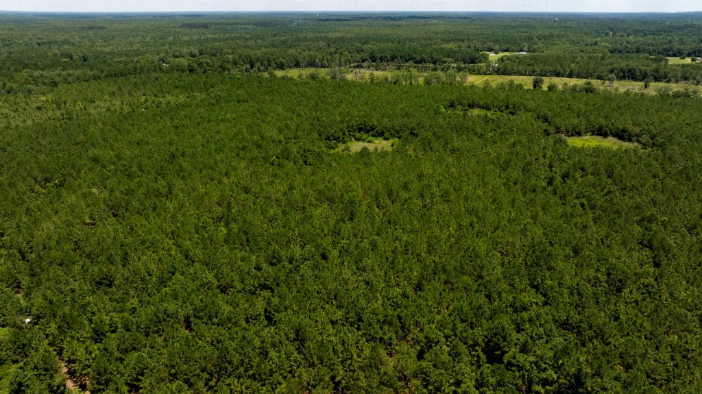 Pembroke Development Photo