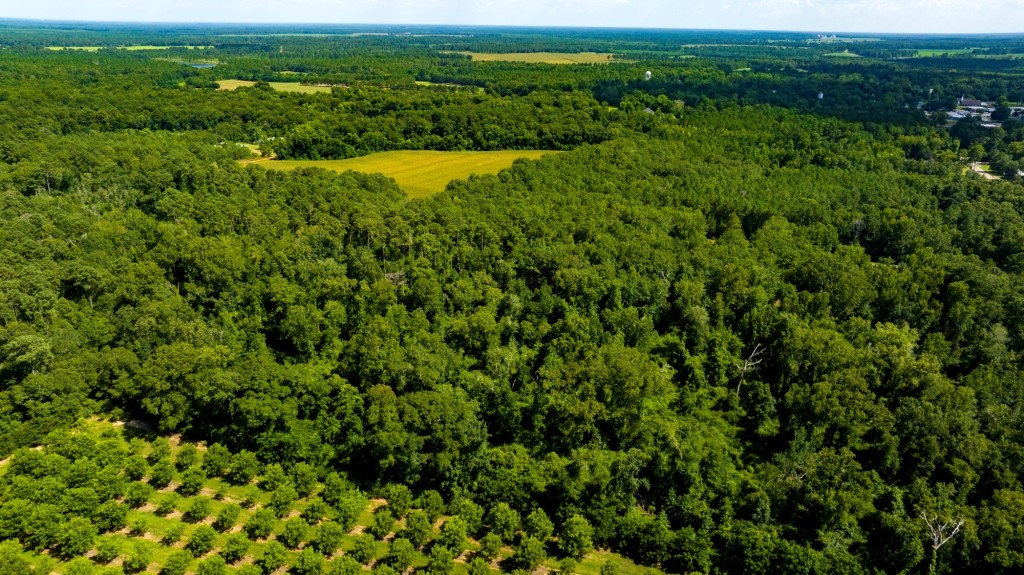 Sugar Creek Mini Farm Photo