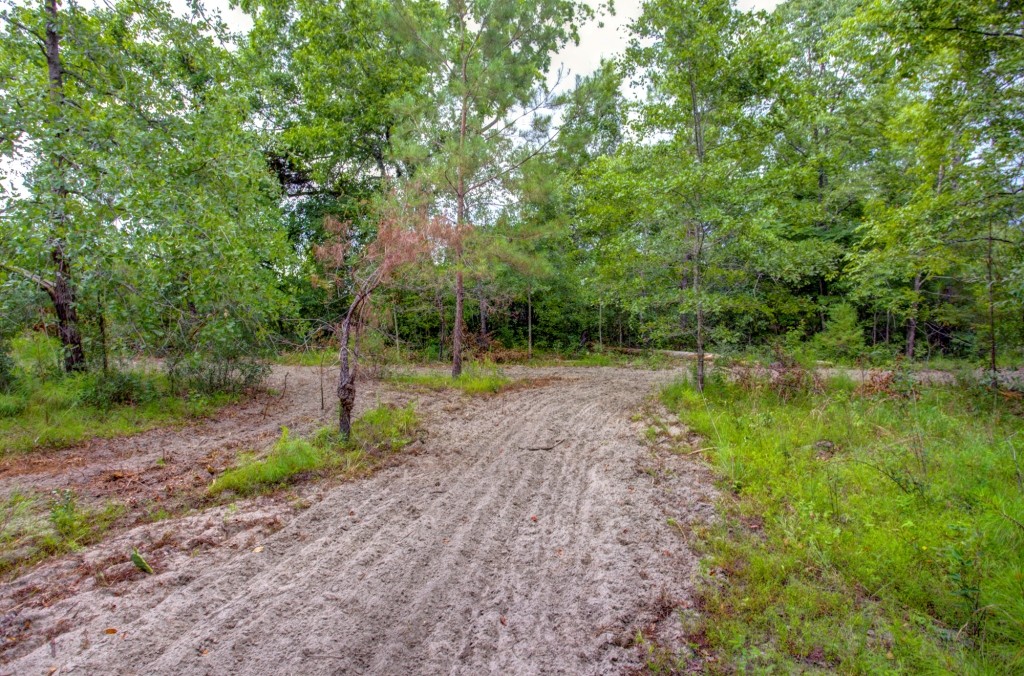 Telfair County Homesite Photo