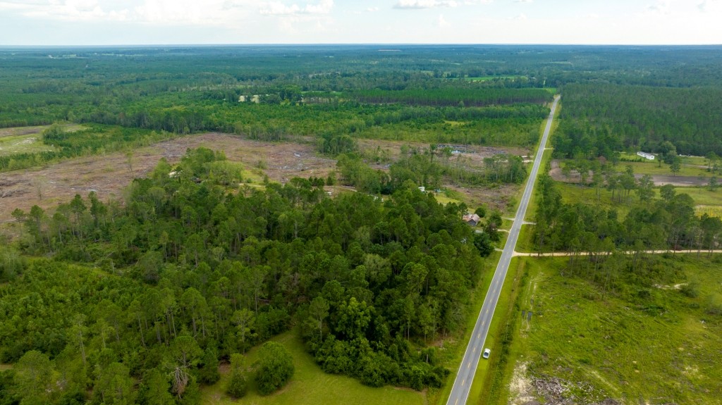 Telfair Pines Photo