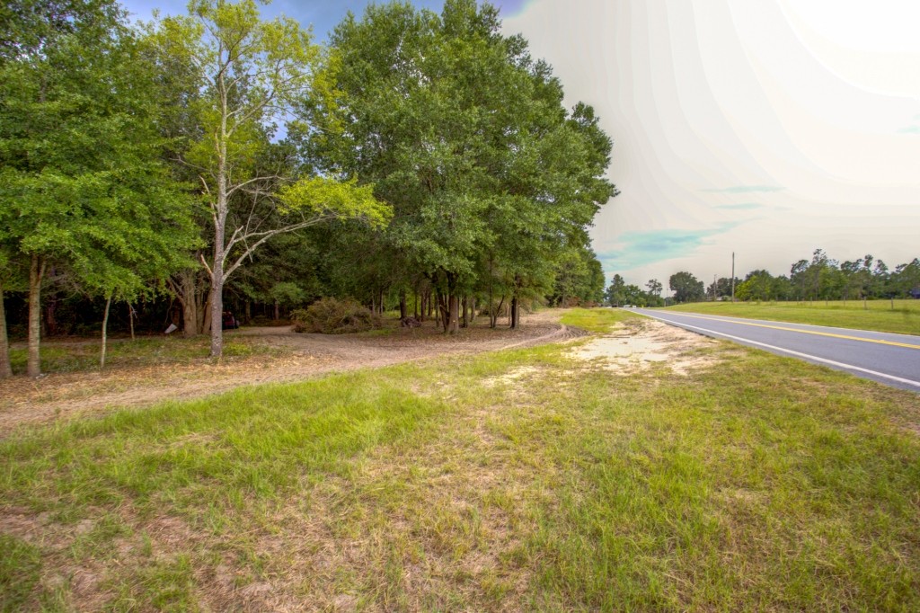 Telfair County Homesite Photo