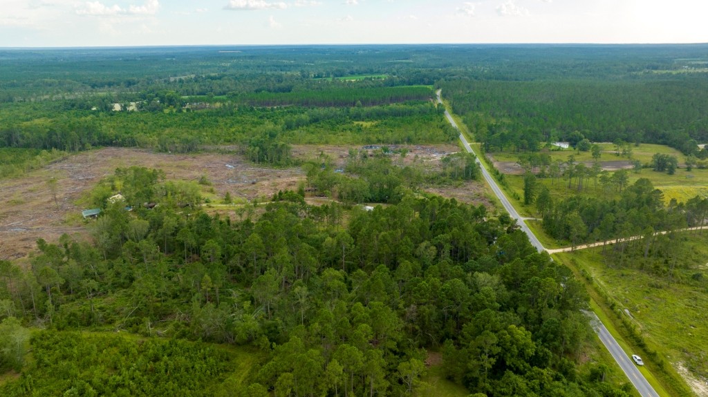 Telfair Pines Photo