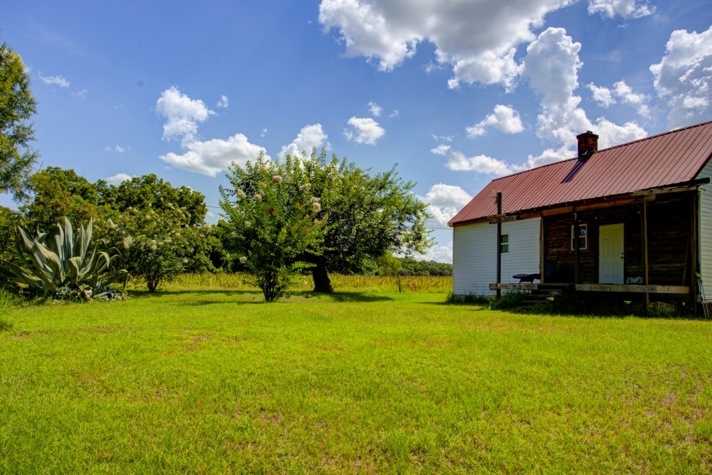Sugar Creek Mini Farm Photo
