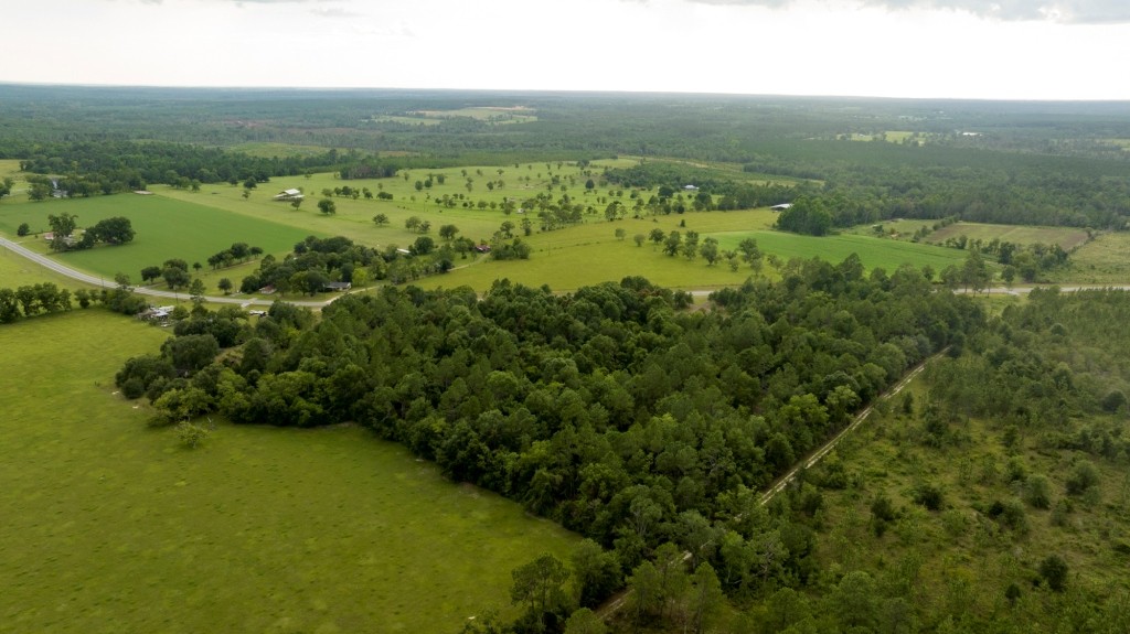Telfair County Homesite Photo