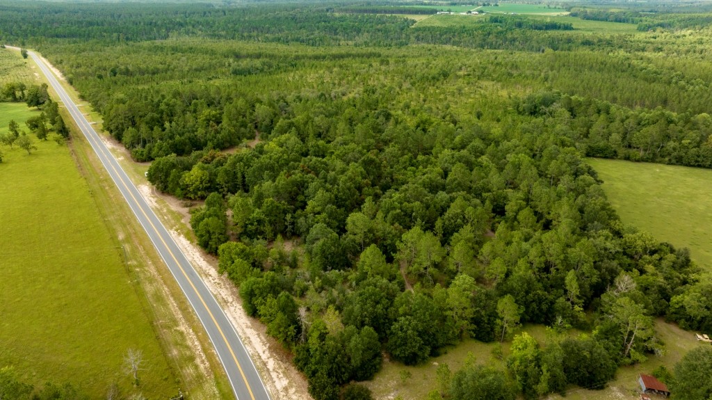 Telfair County Homesite Photo