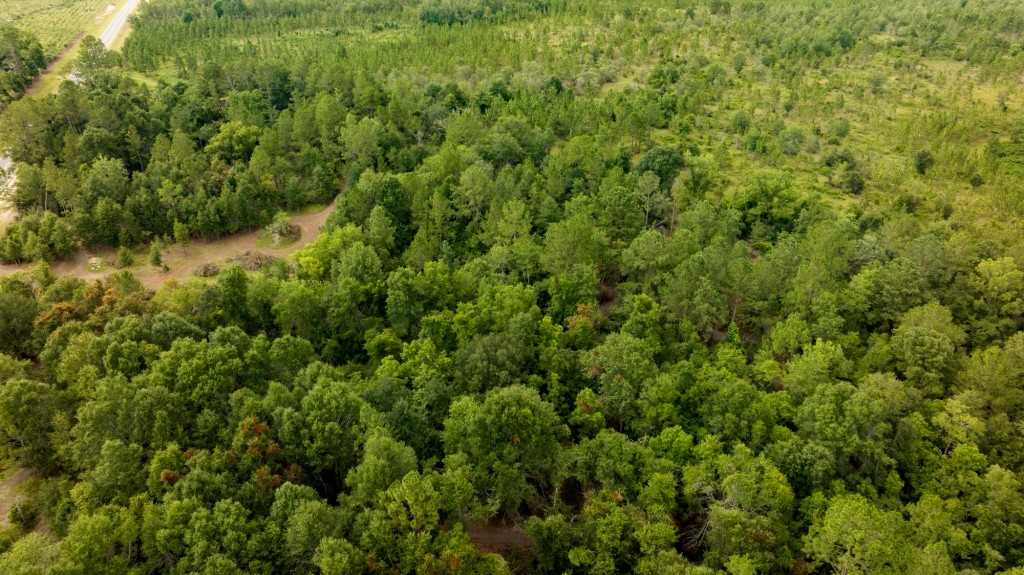 Telfair County Homesite Photo