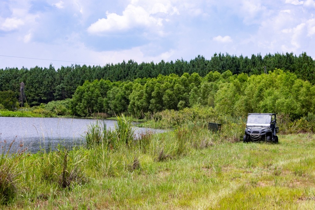 Canoochee Pond Photo