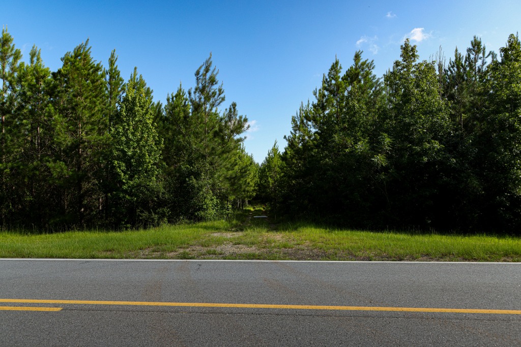 Bartow Pines Photo