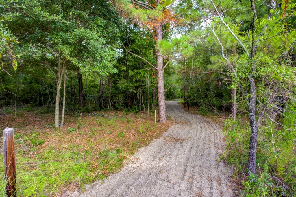 Telfair County Homesite Photo
