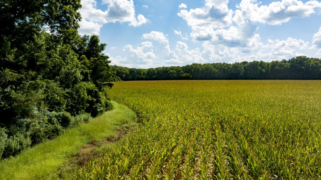 Sugar Creek Mini Farm Photo