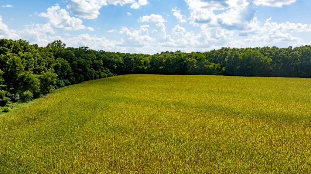 Sugar Creek Mini Farm Photo