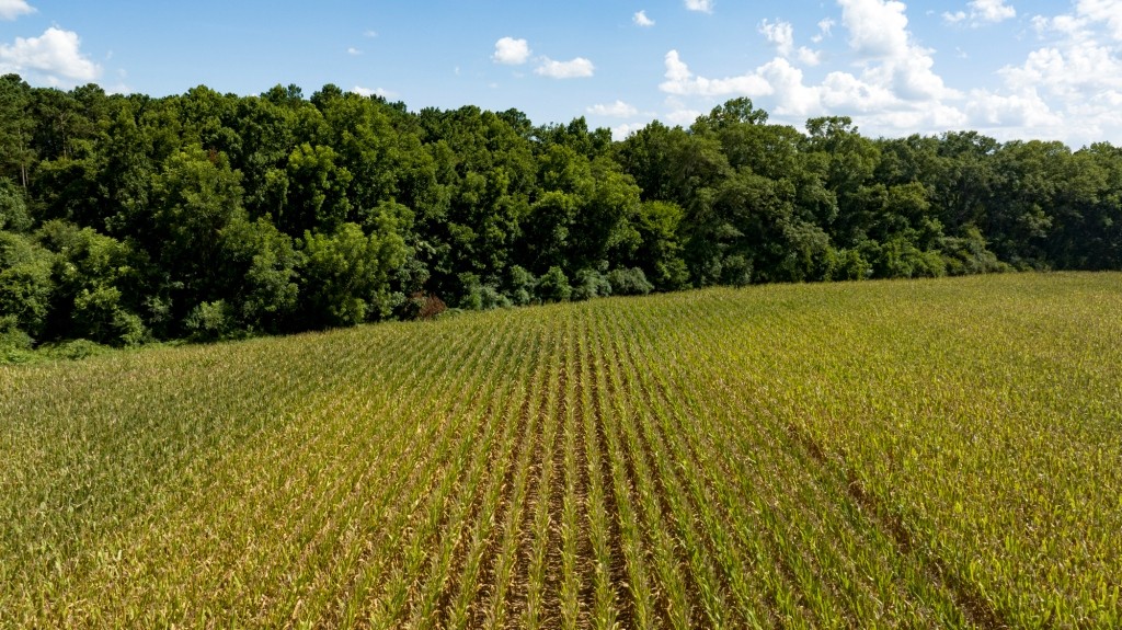 Sugar Creek Mini Farm Photo