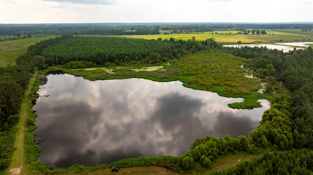 Canoochee Pond Photo
