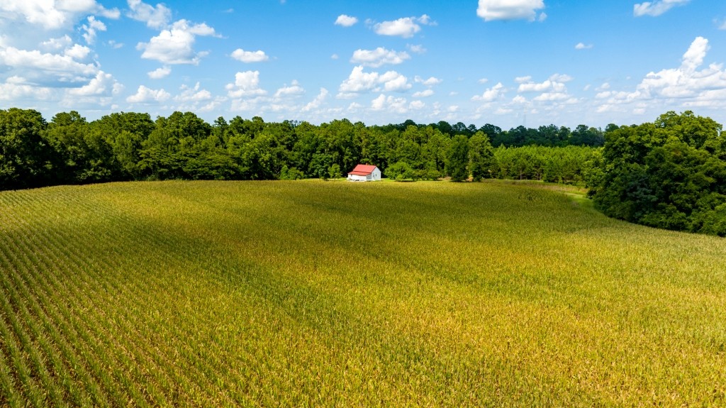 Sugar Creek Mini Farm Photo