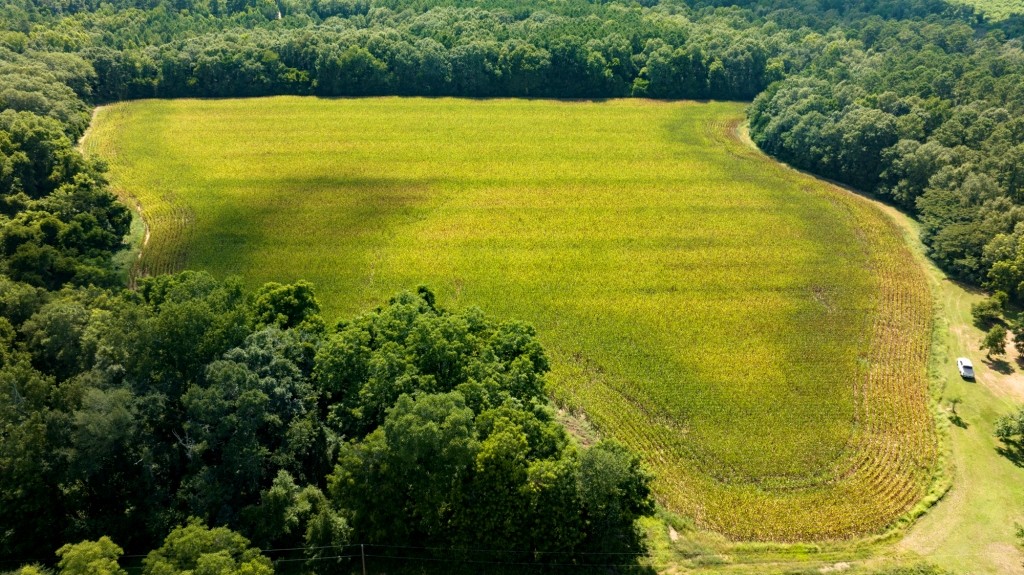 Sugar Creek Mini Farm Photo