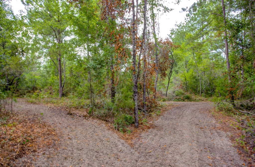 Telfair County Homesite Photo