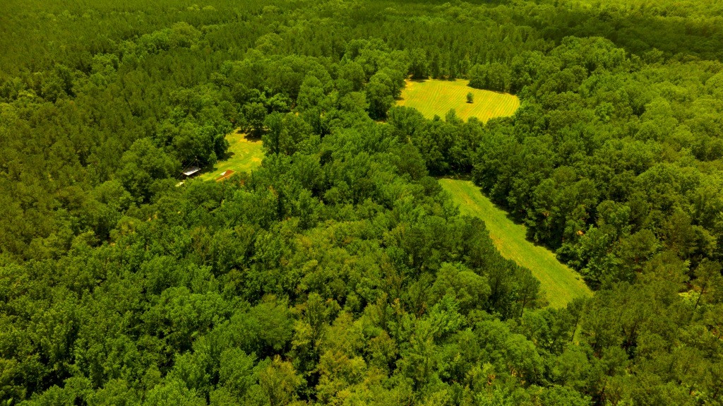 Little Ogeechee Retreat Photo