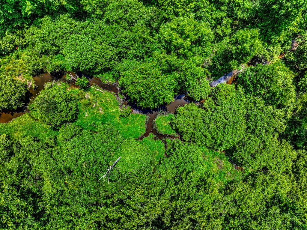 Sugar Creek Mini Farm Photo