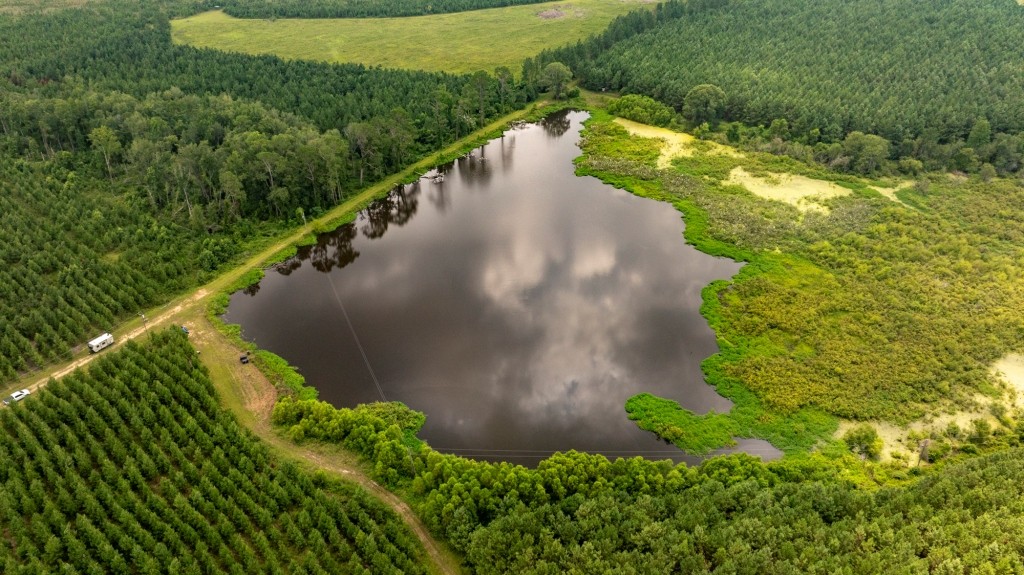 Canoochee Pond Photo