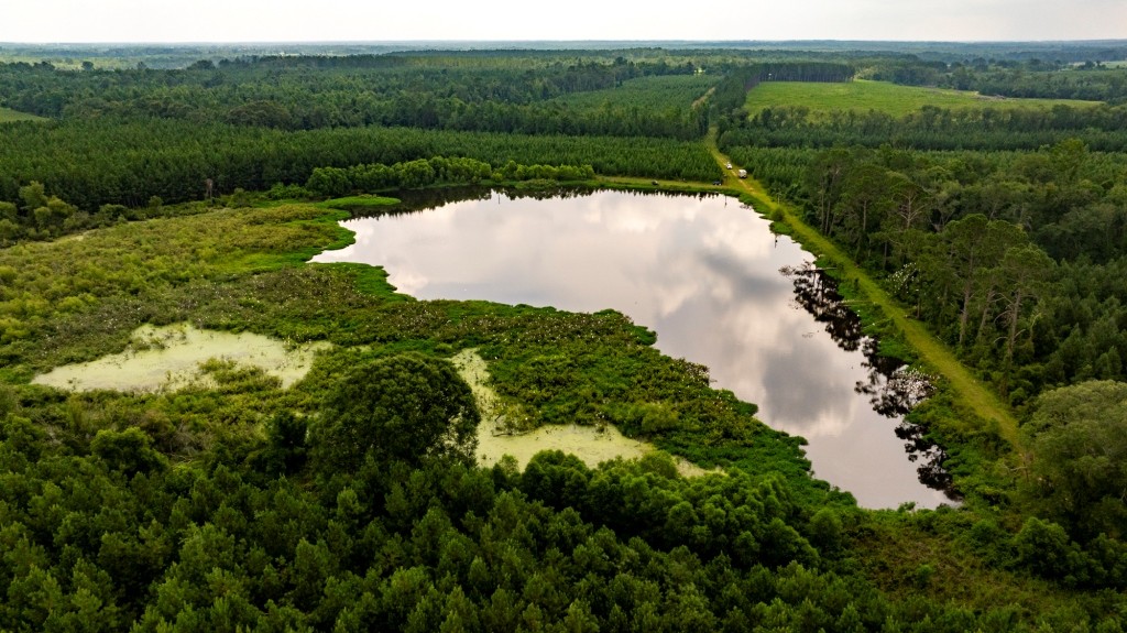 Canoochee Pond Photo