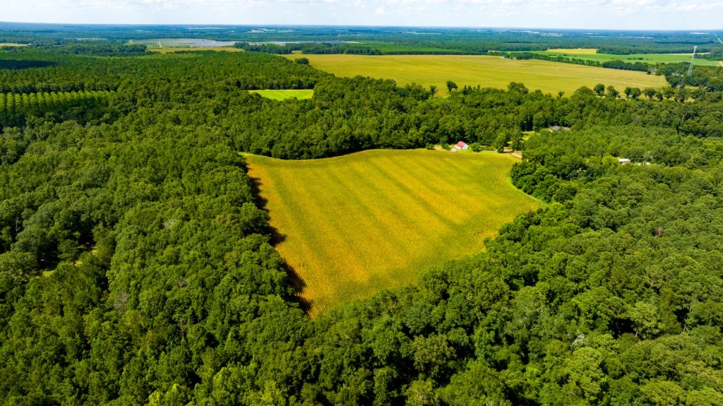 Sugar Creek Mini Farm Photo