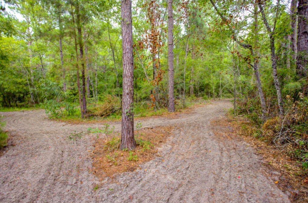 Telfair County Homesite Photo