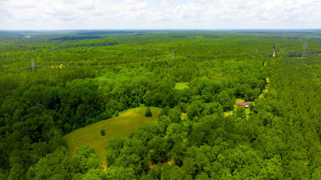 Little Ogeechee Retreat Photo