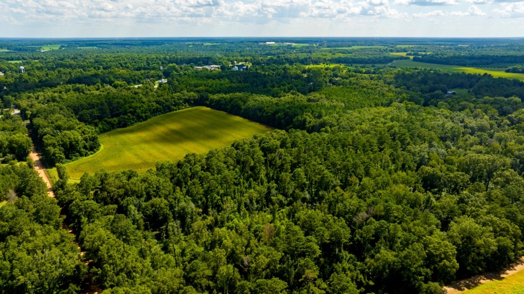 Sugar Creek Mini Farm Photo