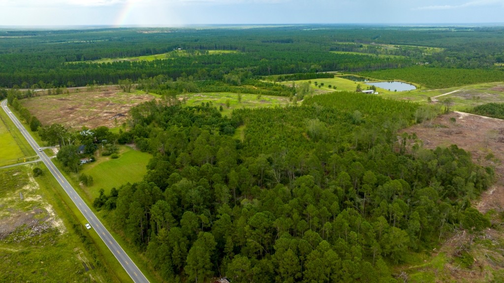 Telfair Pines Photo