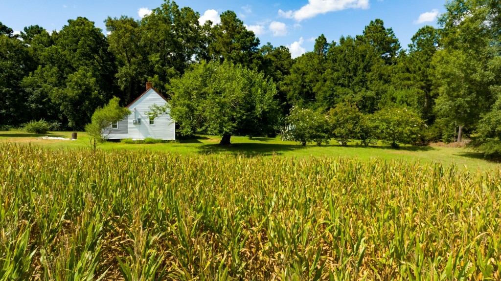 Sugar Creek Mini Farm Photo