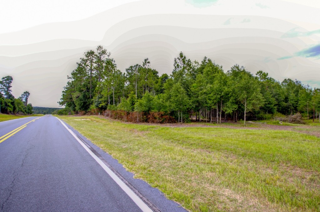Telfair County Homesite Photo