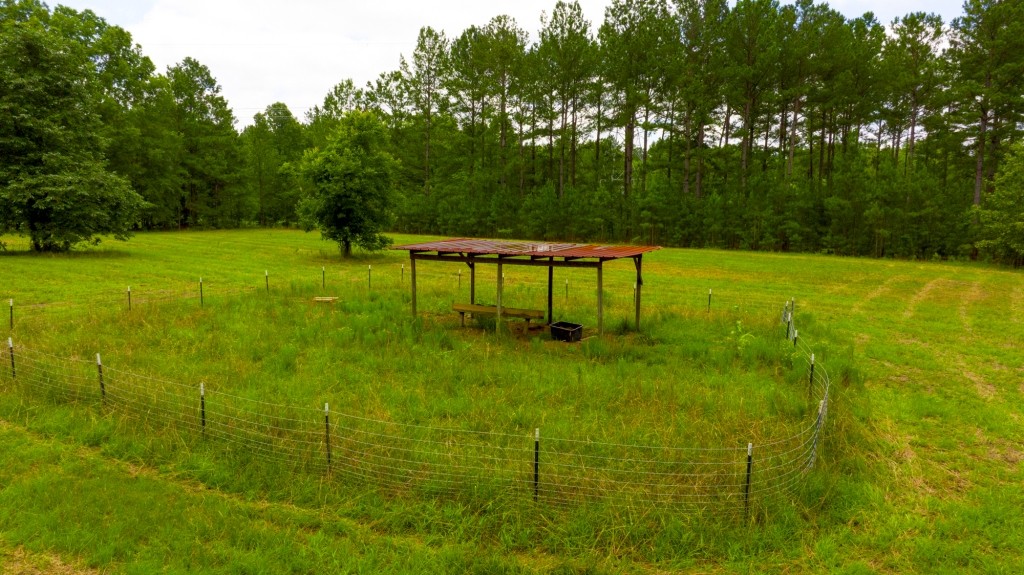 Little Ogeechee Retreat Photo