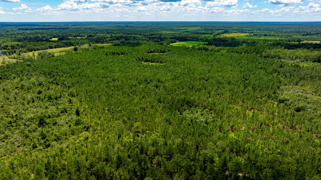 Pembroke Development Photo