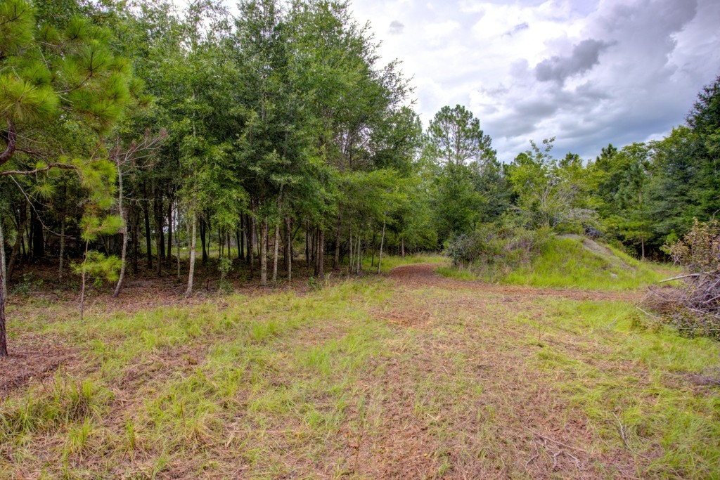 Telfair County Homesite Photo