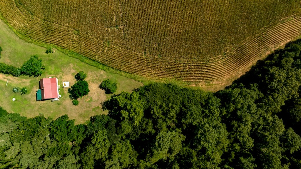 Sugar Creek Mini Farm Photo