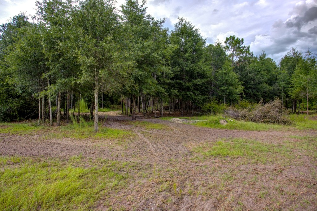 Telfair County Homesite Photo