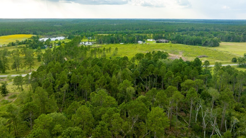 Telfair Pines Photo