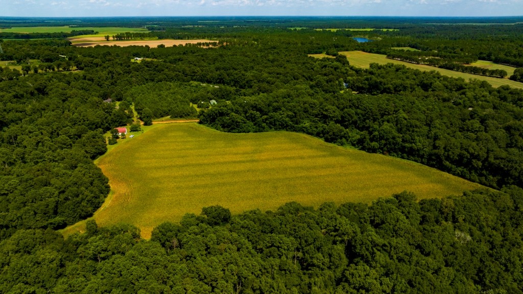 Sugar Creek Mini Farm Photo