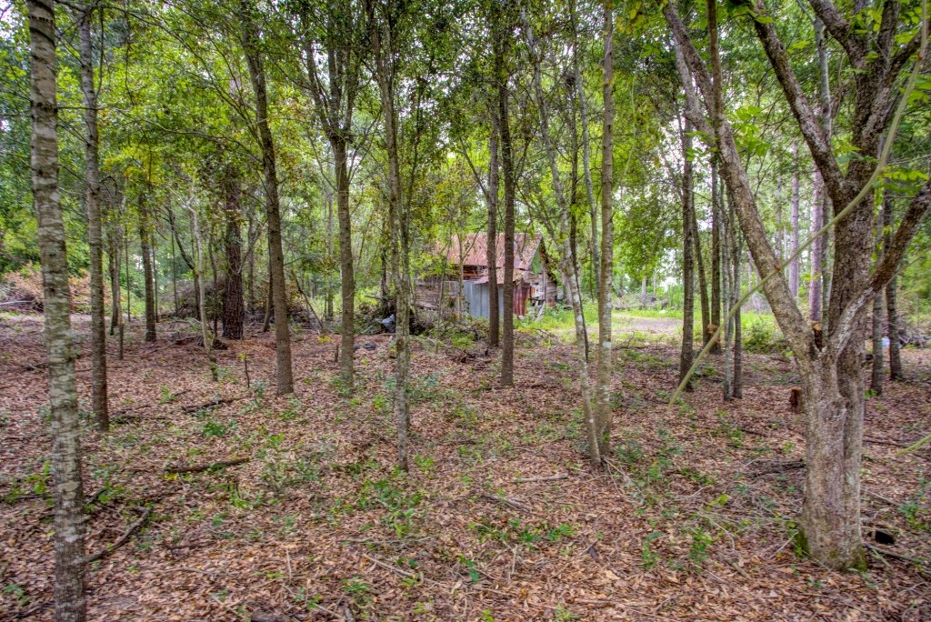 Telfair County Homesite Photo