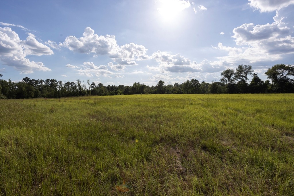 Big Horse Creek Homeplace Photo