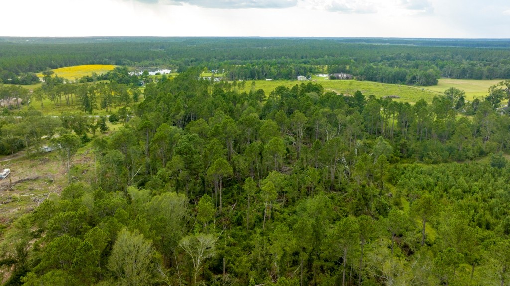 Telfair Pines Photo