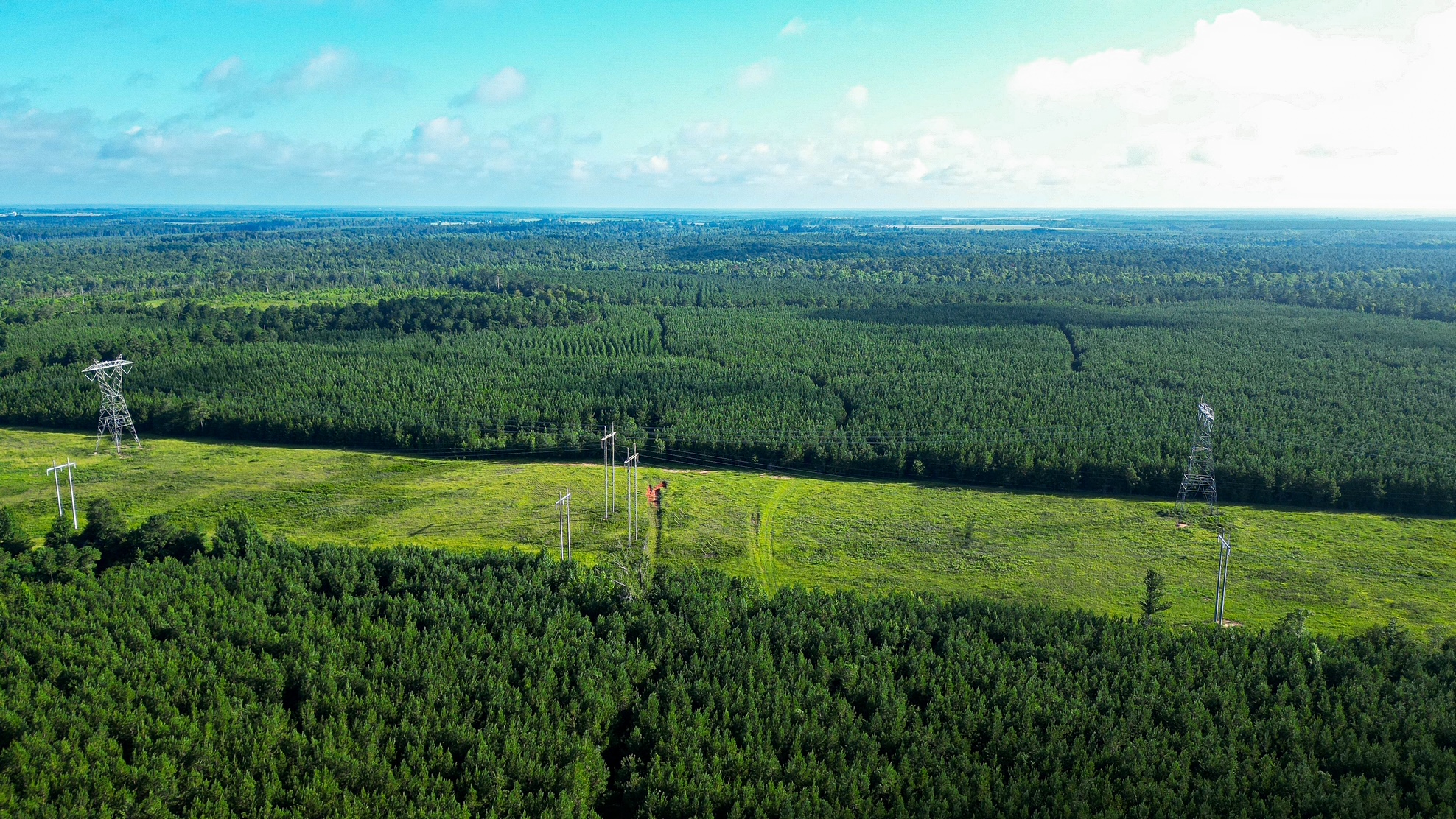 Bartow Pines Photo