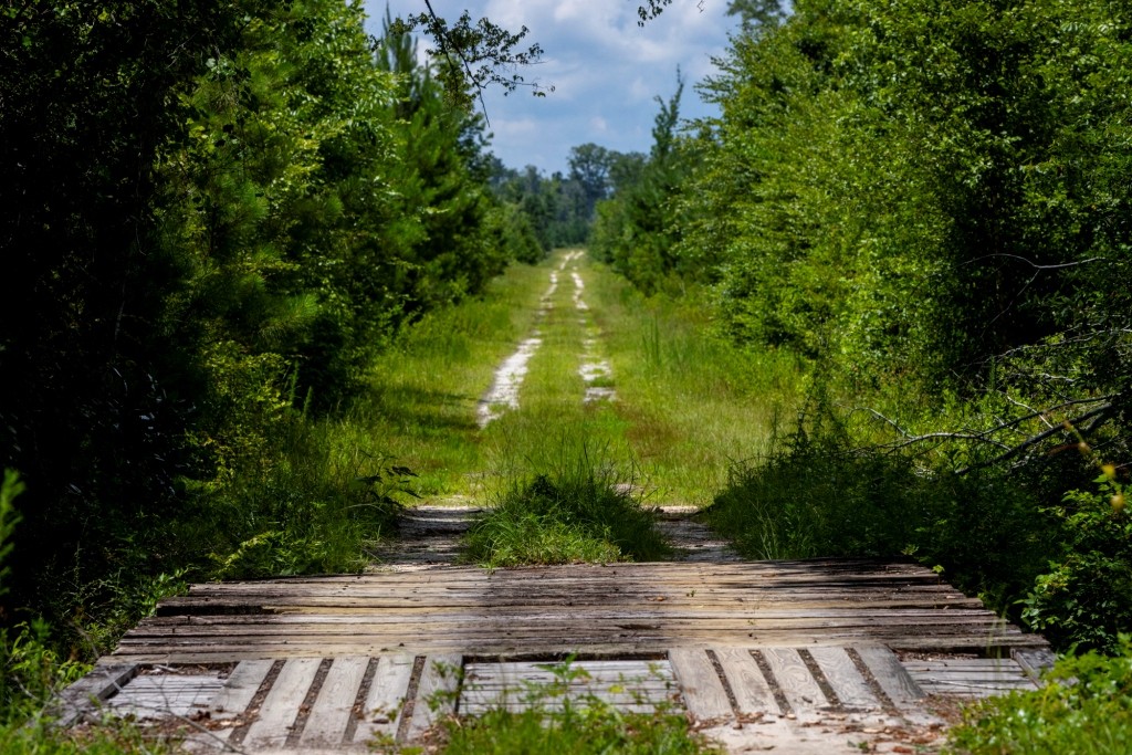 Cowpen Hunting & Timberland Photo
