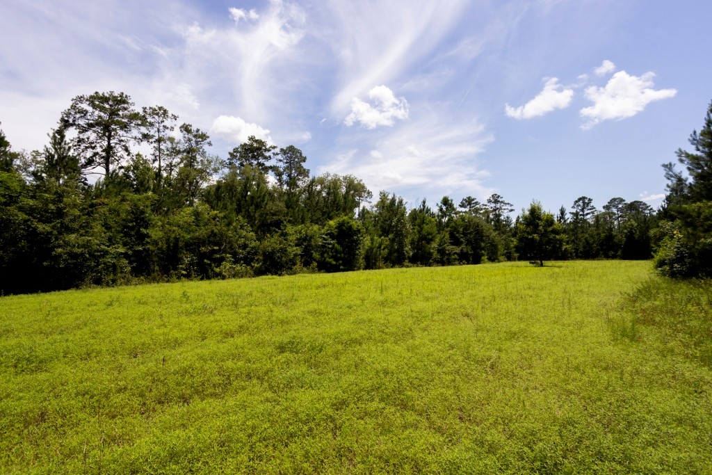 Cowpen Hunting & Timberland Photo