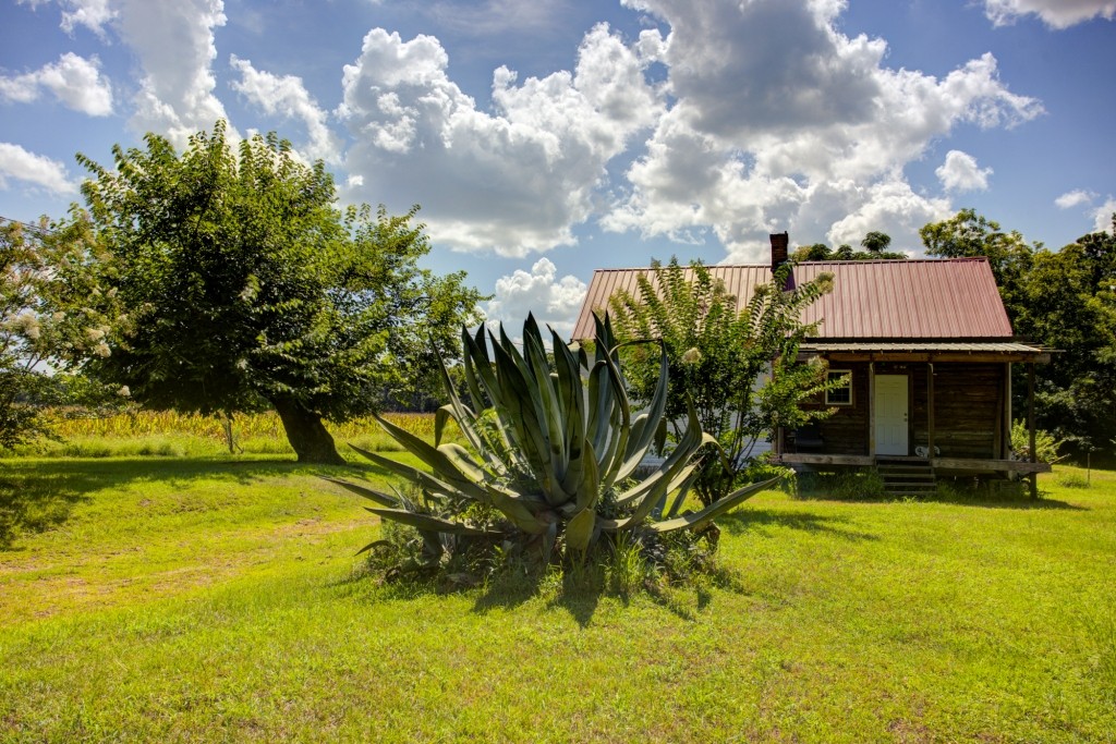 Sugar Creek Mini Farm Photo