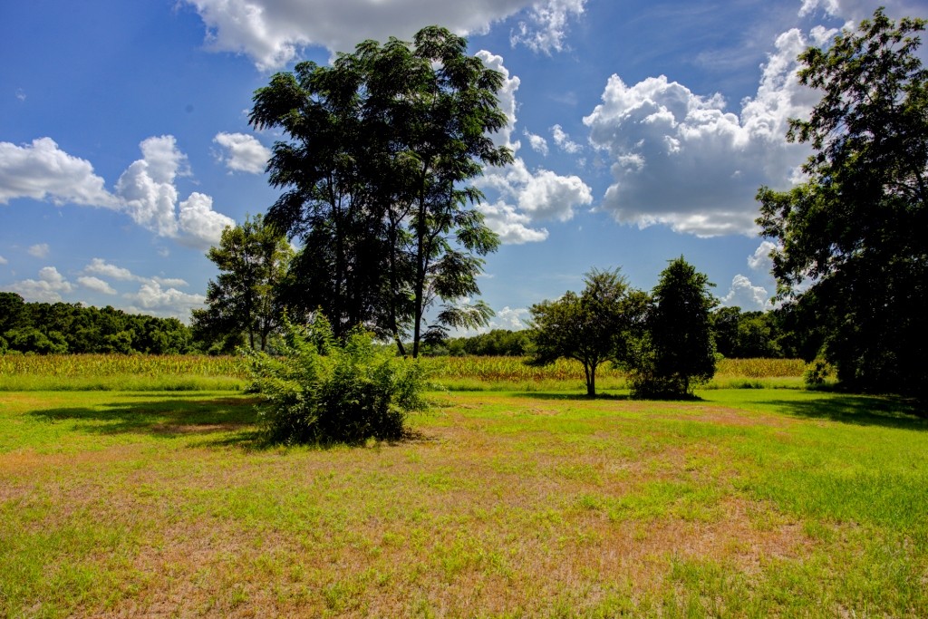 Sugar Creek Mini Farm Photo