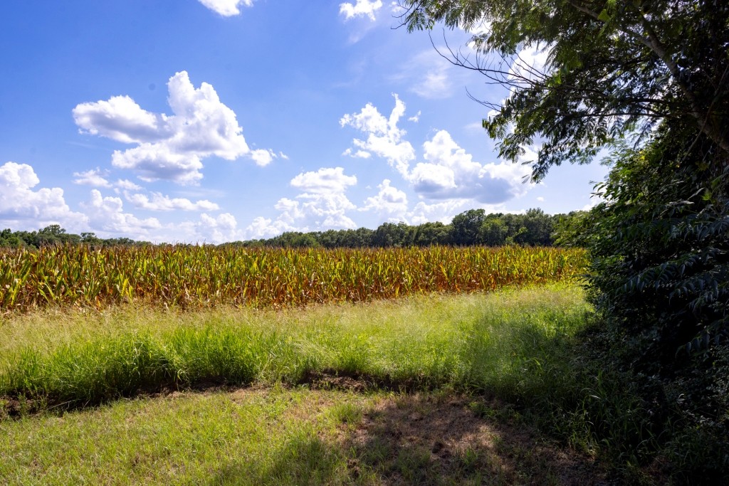Sugar Creek Mini Farm Photo