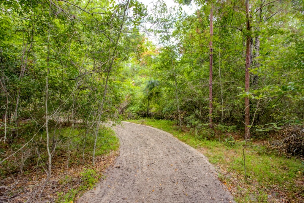 Telfair County Homesite Photo