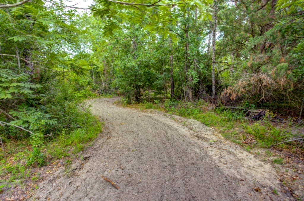 Telfair County Homesite Photo